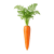 Mrkev